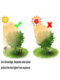 Illustration showing the difference between a tree with and without a separate solar panel, highlighting the latter's advantage.