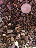 CACTUS & SUCCULENT Premium Potting Mix