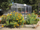 Janco Greenhouse with plants and flowers in a garden setting