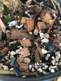 Close-up of potting soil with wood chips and small stones