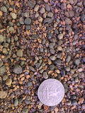 MINI GRIT Cactus & Succulent Premium Potting Mix