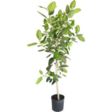 An artificial potted tree with green leaves and a light beige trunk, in a black plastic pot, isolated on a white background.