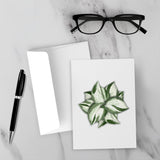 Manjula Pothos Greeting Card – Blank Inside With Envelope