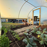 Person working in a Hobby Greenhouse Kit with plants and tools