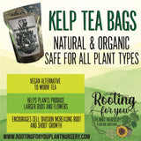 Kelp tea bags packaging with promotional text and branding for a plant nursery.