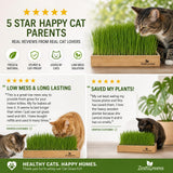 Promotional collage for a cat grass product showing several cats interacting with rectangular wooden trays filled with green grass. The layout includes review text, star ratings, and the ZestGreens brand name on a white and green background.