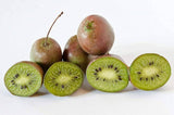 Kiwi fruits and halved kiwis on a white background