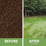 Premium Mow Less Grass Seed