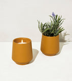 Two mustard yellow ceramic items: a candle and a small potted plant on a white background Rooted Candles Planters