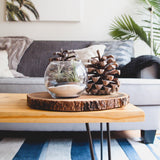 Decorative items on a wooden table with a couch and plants in the background