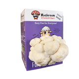 Mushroom growing kit packaging with a purple background and mushroom illustration.