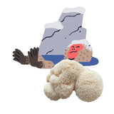 Lion's Mane Monkey - Lion's Mane Mushroom Grow Kit on a white background