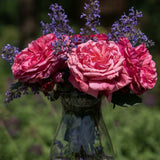 Bouquet of pink Loves Me, Loves Me Not Roses and lavender in a clear vase against a blurred green background