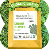 Flawn Seed Kits organic coated micro clover seed packet with grass background