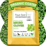 Micro Clover Seed