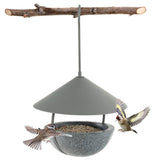 Small Hanging Bird Feeder with Metal Cone Rain Protector Top - FREE SHIPPING