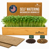 ZestiGreens Self Watering Microgreens Growing Kit with a wooden tray of green microgreens, a brown cardboard box, two coir growing mats, and two seed piles labeled Broccoli Seeds and Microgreens Seed Mix on a white background.
