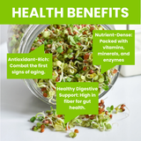 Sprouts in a jar with health benefits text on a white background