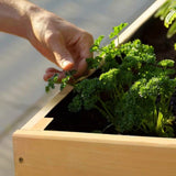 Outdoor Modern Natural Cedar Wood Raised Garden Bed Planter 70-inch x 31-inch - FREE SHIPPING