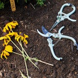 Pruning shears on soil with yellow flowers nearby