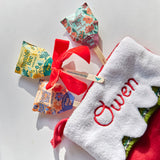 Seed Pops - Pollinator in Christmas Stocking