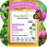 Medium Red Clover Seed