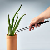 Person using Precision Tweezers to handle a potted aloe vera plant against a light blue background