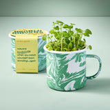 Green marbled mug with sprouts and a small container labeled 'modern sprout' on a light gray background Altered Herb Mug Grow Kits