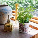 Potted plant in a decorative mug with a gold spray bottle on a wooden table. Altered Herb Mug Grow Kits