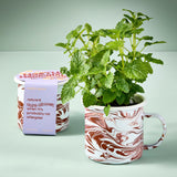 Marbled mug with a plant, next to a box labeled 'Mother Medicine', on a light green background Altered Herb Mug Grow Kits