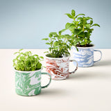 Three mugs with marbled patterns containing plants on a light blue background Altered Herb Mug Grow Kits