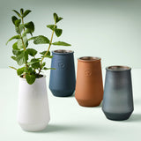 Set of four ceramic vases in different colors with a plant on a light background Tapered Tumbler Grow Kits 