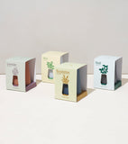 Four small Tapered Tumbler Grow Kits with labels for Lavender, Mint, Eucalyptus, and Basil on a light background.