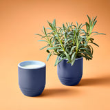 Blue ceramic cup and planter with a plant on an orange background Garden Vibes Candle/Planter 2-in-1