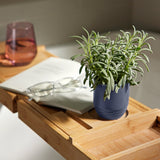 Wooden tray with a potted plant, book, and glass on a surface. Garden Vibes Candle/Planter 2-in-1