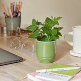 Garden Vibes Candle/Planter 2-in-1