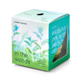 Candle packaging with 'modern sprout' branding and eucalyptus design on a white background Garden Vibes Candle/Planter 2-in-1