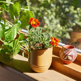 Green potted plant on a desk with office supplies in the background Garden Vibes Candle/Planter 2-in-1