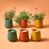 Rooted Candles Planters