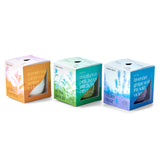 Three scented candle boxes with colorful packaging on a white background Garden Vibes Candle/Planter 2-in-1