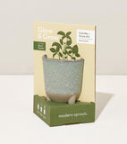 Glow & Grow candle and grow kit packaging with a plant in a pot on a light background