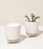 Two white planters, one with a candle and the other with a small plant, on a light background. Glow & Grow Kits