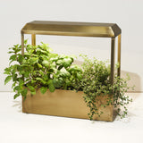 Smart Growhouse with herbs on a white background
