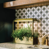 Smart Growhouse with green herbs on a kitchen counter against a patterned tile wall.
