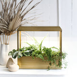 Smart Growhouse with green plants on a white surface, next to a vase with dried plants.