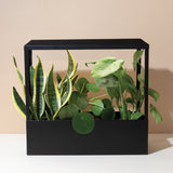 Smart Growhouse with green plants on a beige background