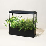 Smart Growhouse with green plants on a white background