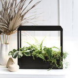Smart Growhouse with plants on a white surface, with a vase and dried leaves in the background.