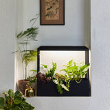 Smart Growhouse with plants inside a black frame on a white wall.