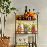 Gold bar cart with drinks and fruits against a light wall Smart Growbar